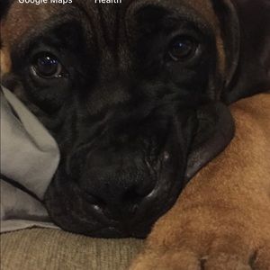 Meet your Posher, Crystal